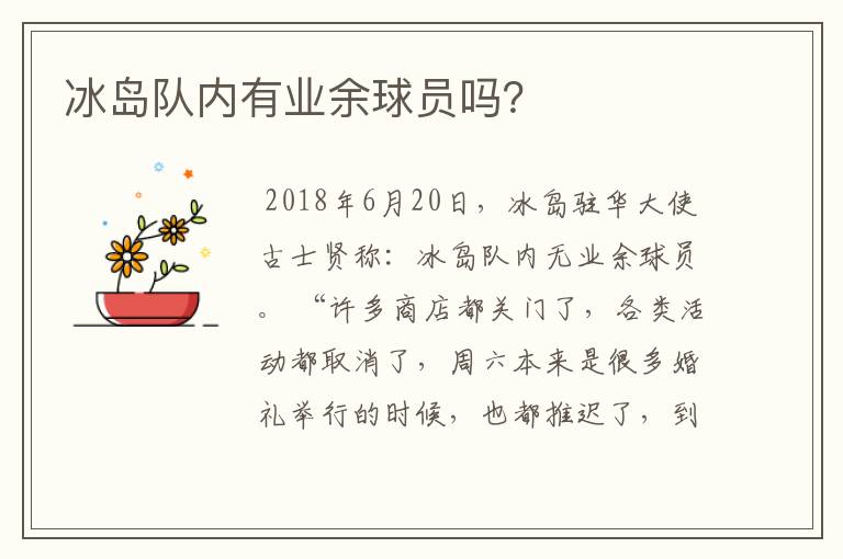 冰岛队内有业余球员吗?