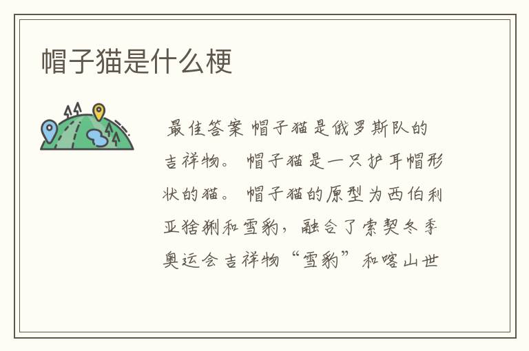 帽子猫是什么梗