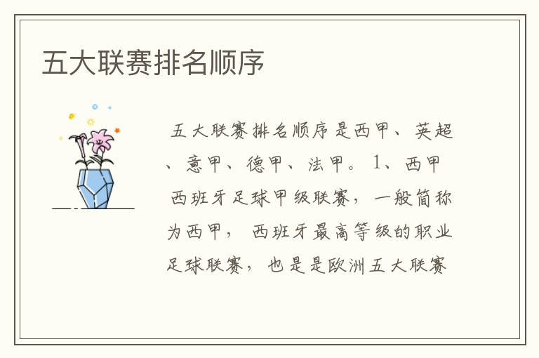 五大联赛排名顺序