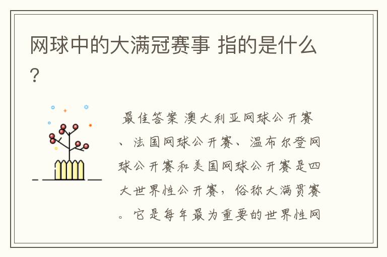 网球中的大满冠赛事 指的是什么?