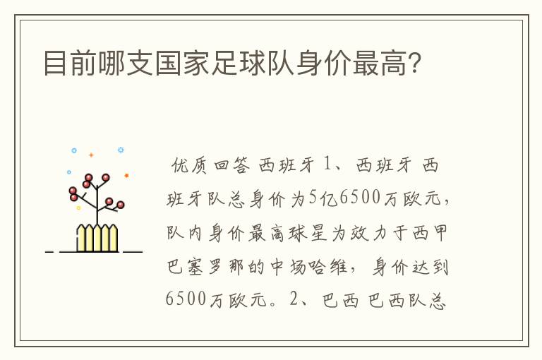目前哪支国家足球队身价最高?