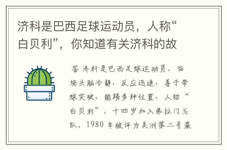 济科是巴西足球运动员,人称“白贝利”,你知道有关济科的故事吗?