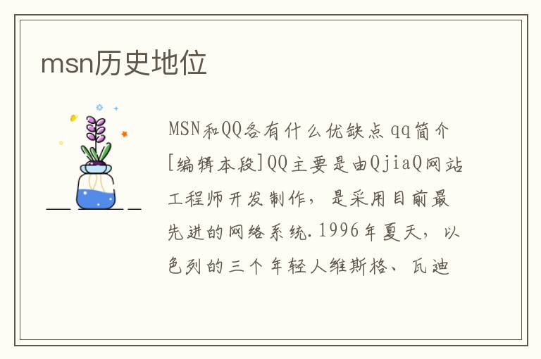 msn历史地位