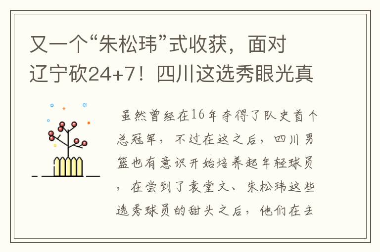 又一个“朱松玮”式收获,面对辽宁砍24+7!四川这选秀眼光真独到