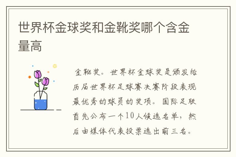 世界杯金球奖和金靴奖哪个含金量高