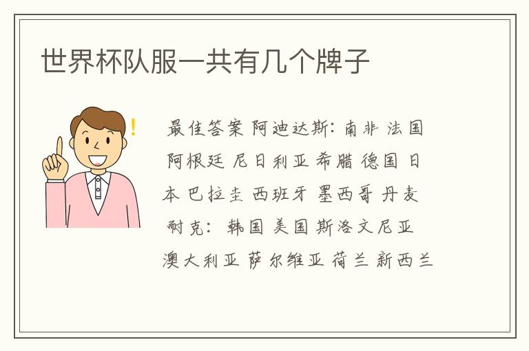 世界杯队服一共有几个牌子