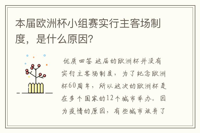 本届欧洲杯小组赛实行主客场制度,是什么原因?