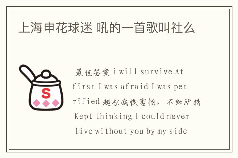 上海申花球迷 吼的一首歌叫社么