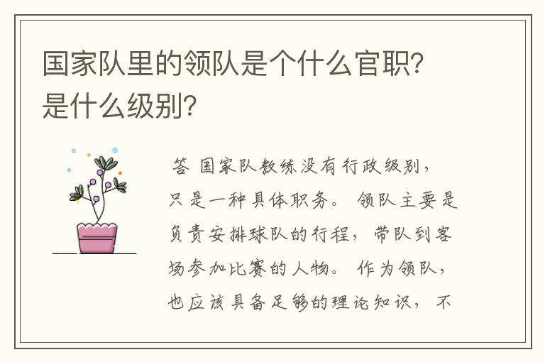国家队里的领队是个什么官职?是什么级别?