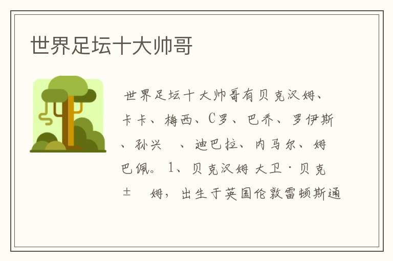 世界足坛十大帅哥