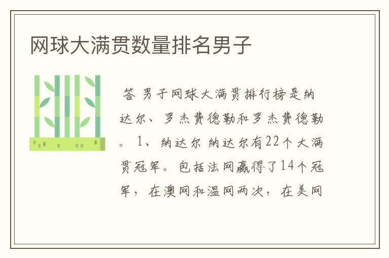 网球大满贯数量排名男子