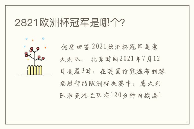 2821欧洲杯冠军是哪个?