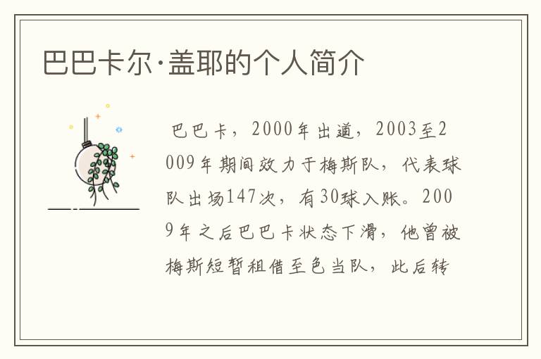 巴巴卡尔·盖耶的个人简介