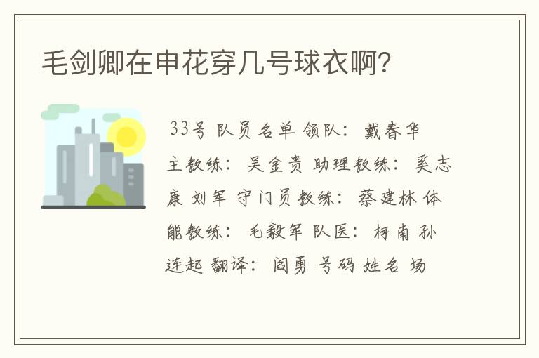 毛剑卿在申花穿几号球衣啊?