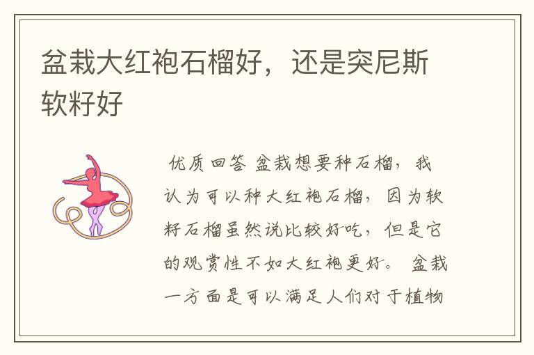 盆栽大红袍石榴好,还是突尼斯软籽好