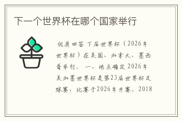 下一个世界杯在哪个国家举行