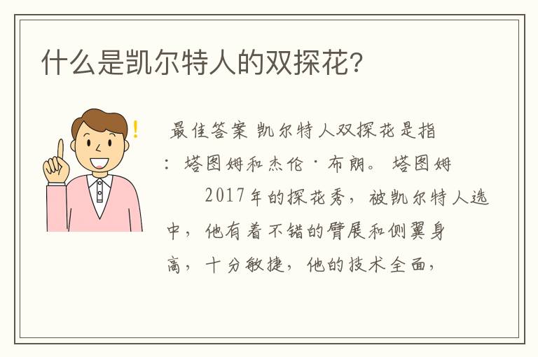 什么是凯尔特人的双探花?