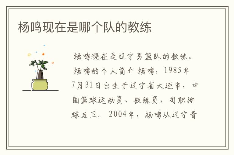 杨鸣现在是哪个队的教练