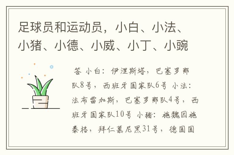 足球员和运动员,小白、小法、小猪、小德、小威、小丁、小豌豆分别是指谁?来自那