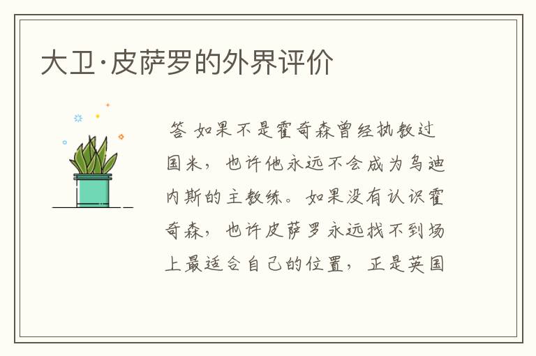 大卫·皮萨罗的外界评价