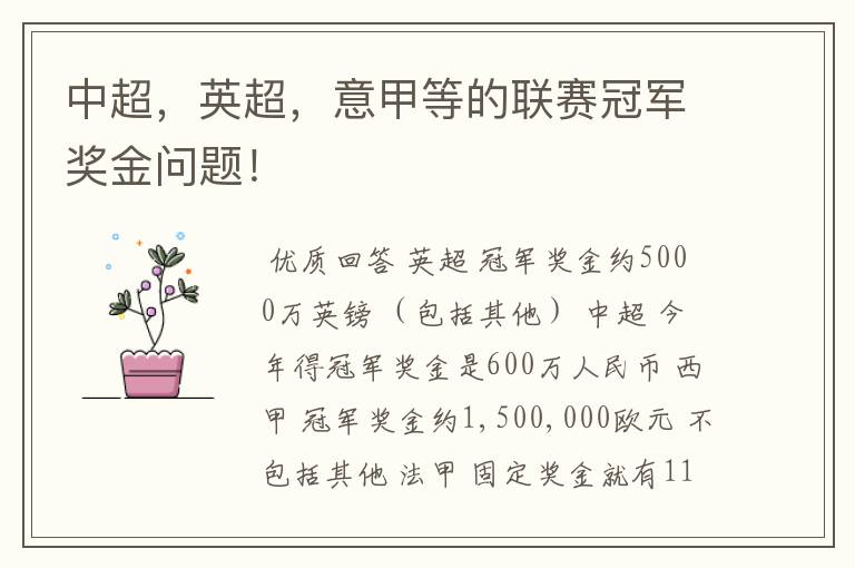 中超,英超,意甲等的联赛冠军奖金问题!