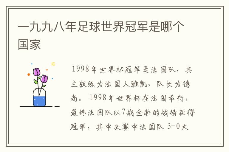 一九九八年足球世界冠军是哪个国家
