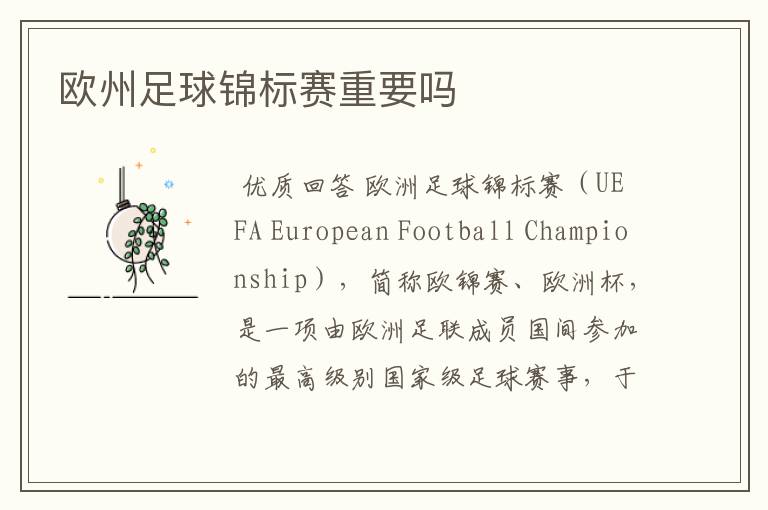 欧州足球锦标赛重要吗
