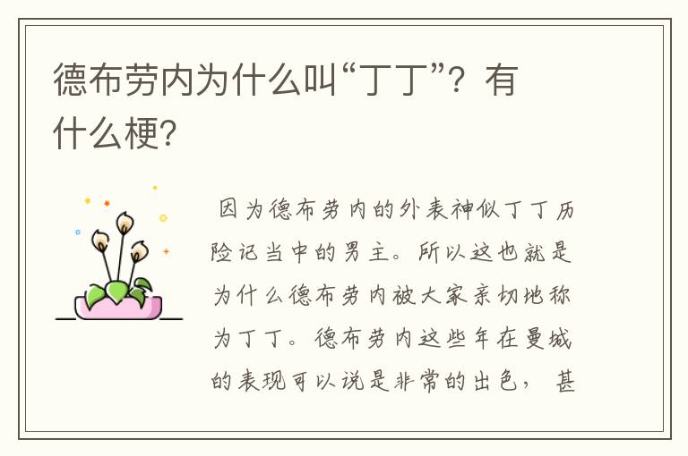 德布劳内为什么叫“丁丁”?有什么梗?