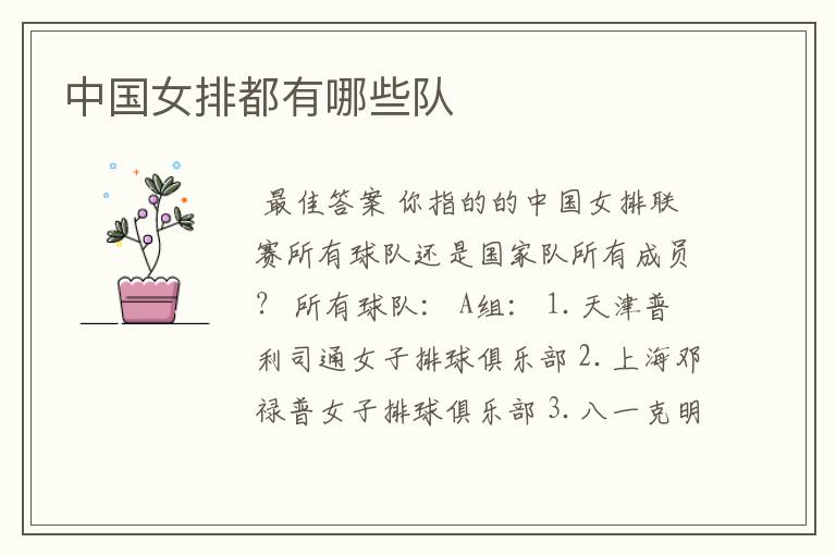 中国女排都有哪些队