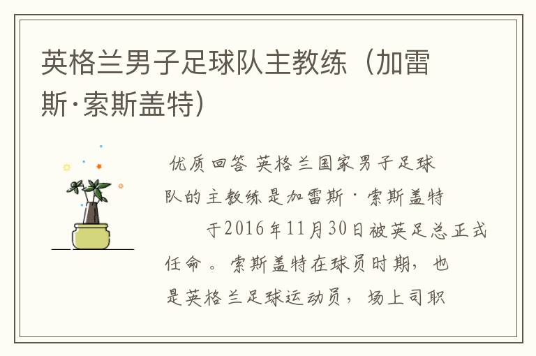 英格兰男子足球队主教练(加雷斯·索斯盖特)