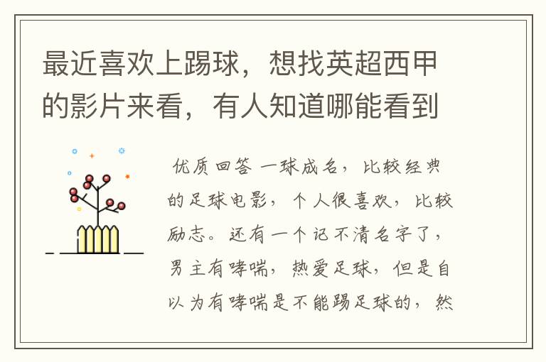 最近喜欢上踢球,想找英超西甲的影片来看,有人知道哪能看到吗
