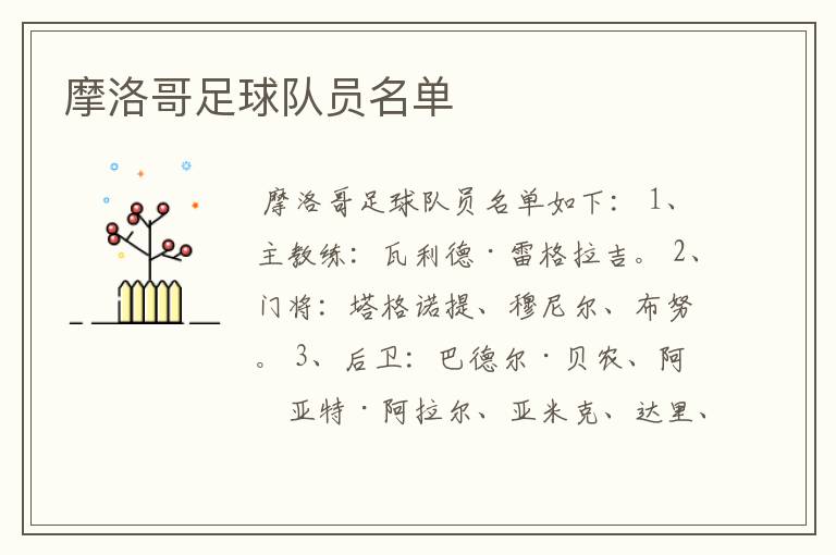 摩洛哥足球队员名单