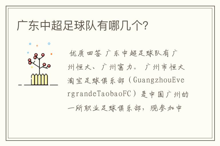 广东中超足球队有哪几个?