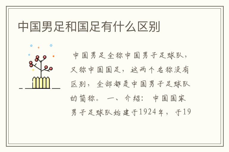 中国男足和国足有什么区别