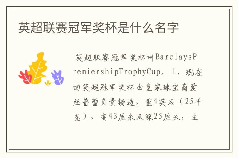 英超联赛冠军奖杯是什么名字