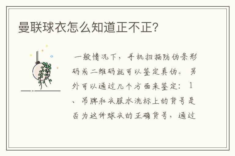 曼联球衣怎么知道正不正?