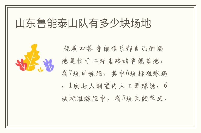 山东鲁能泰山队有多少块场地