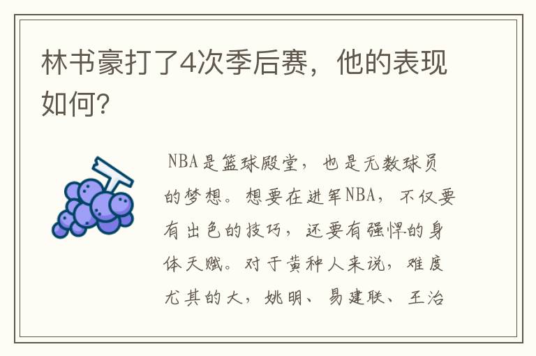 林书豪打了4次季后赛，他的表现如何？