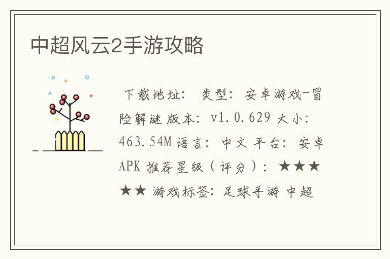 中超风云2手游攻略