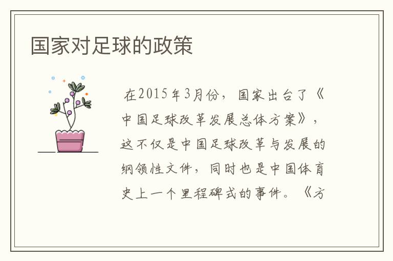 国家对足球的政策
