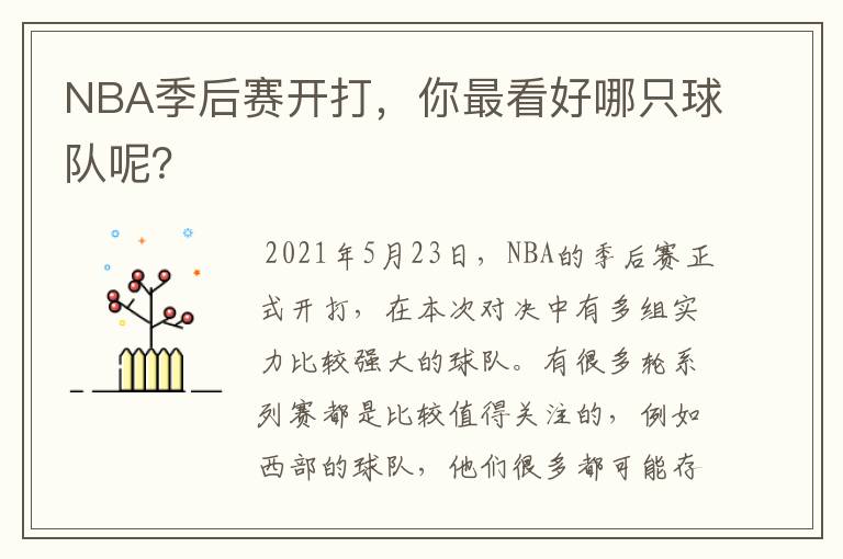 NBA季后赛开打,你最看好哪只球队呢?