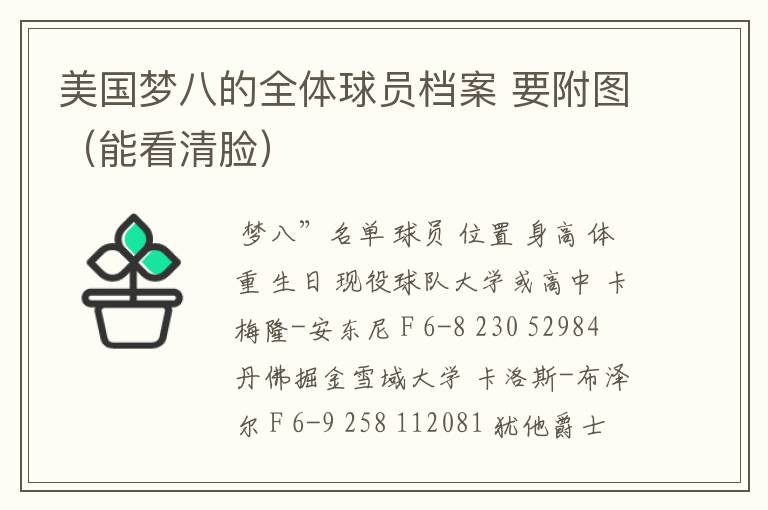 美国梦八的全体球员档案 要附图(能看清脸)