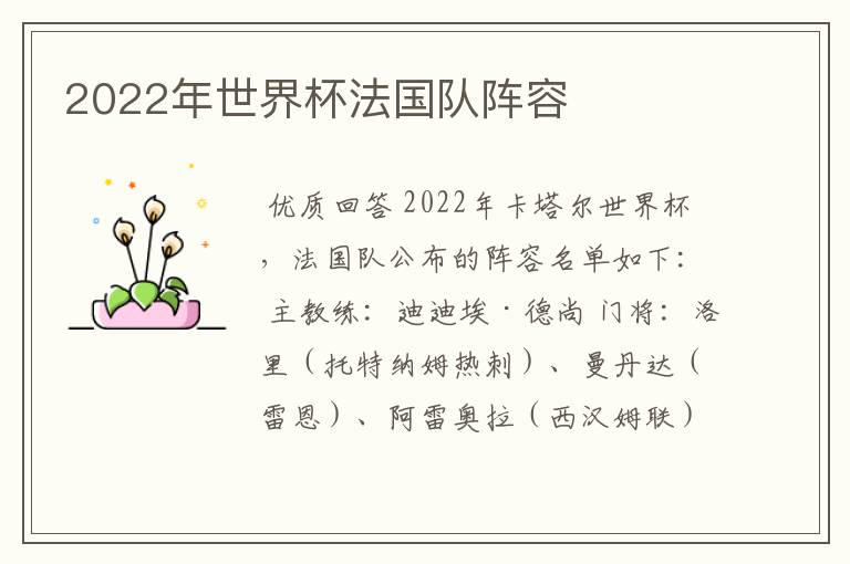 2022年世界杯法国队阵容