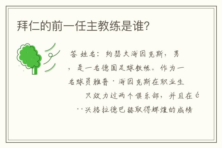 拜仁的前一任主教练是谁?
