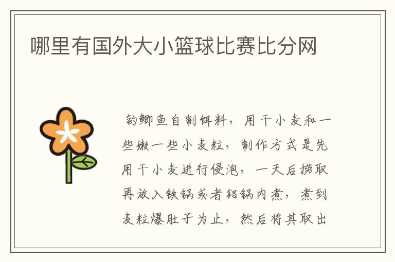 哪里有国外大小篮球比赛比分网