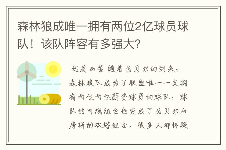 森林狼成唯一拥有两位2亿球员球队!该队阵容有多强大?