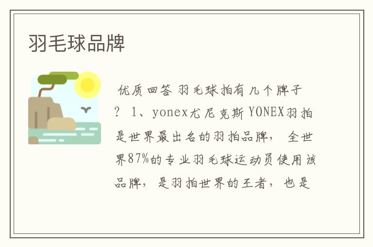 羽毛球品牌