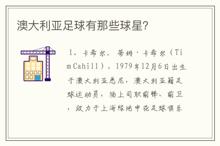 澳大利亚足球有那些球星?