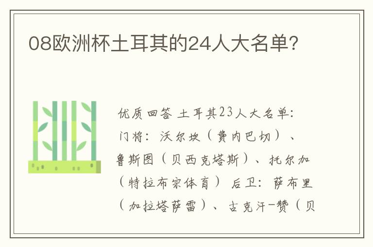08欧洲杯土耳其的24人大名单?
