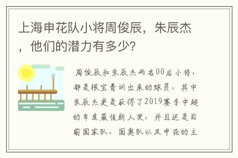 上海申花队小将周俊辰,朱辰杰,他们的潜力有多少?